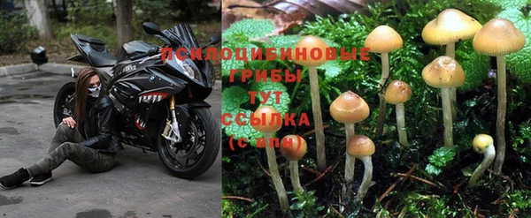 амфетамин Алзамай