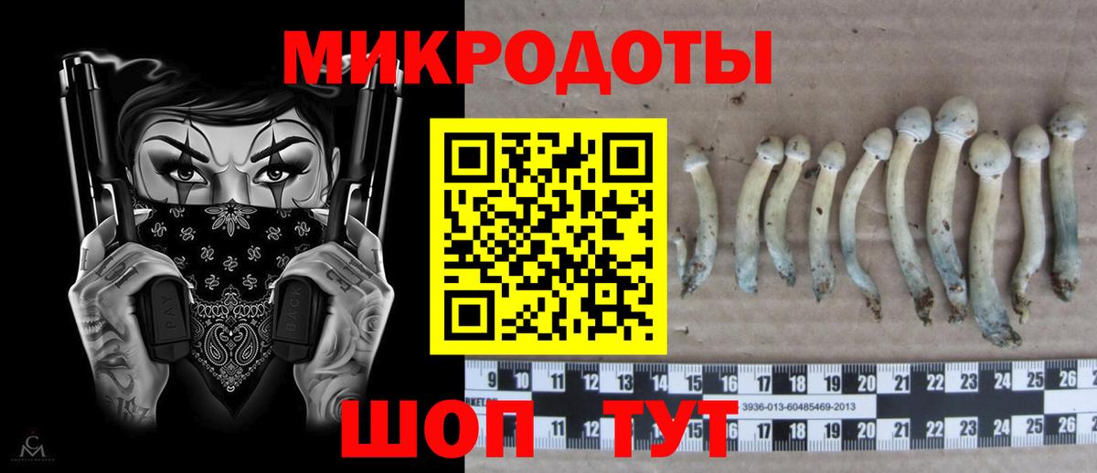 Галлюциногенные грибы Cubensis  Вход с VPN  Анапа 